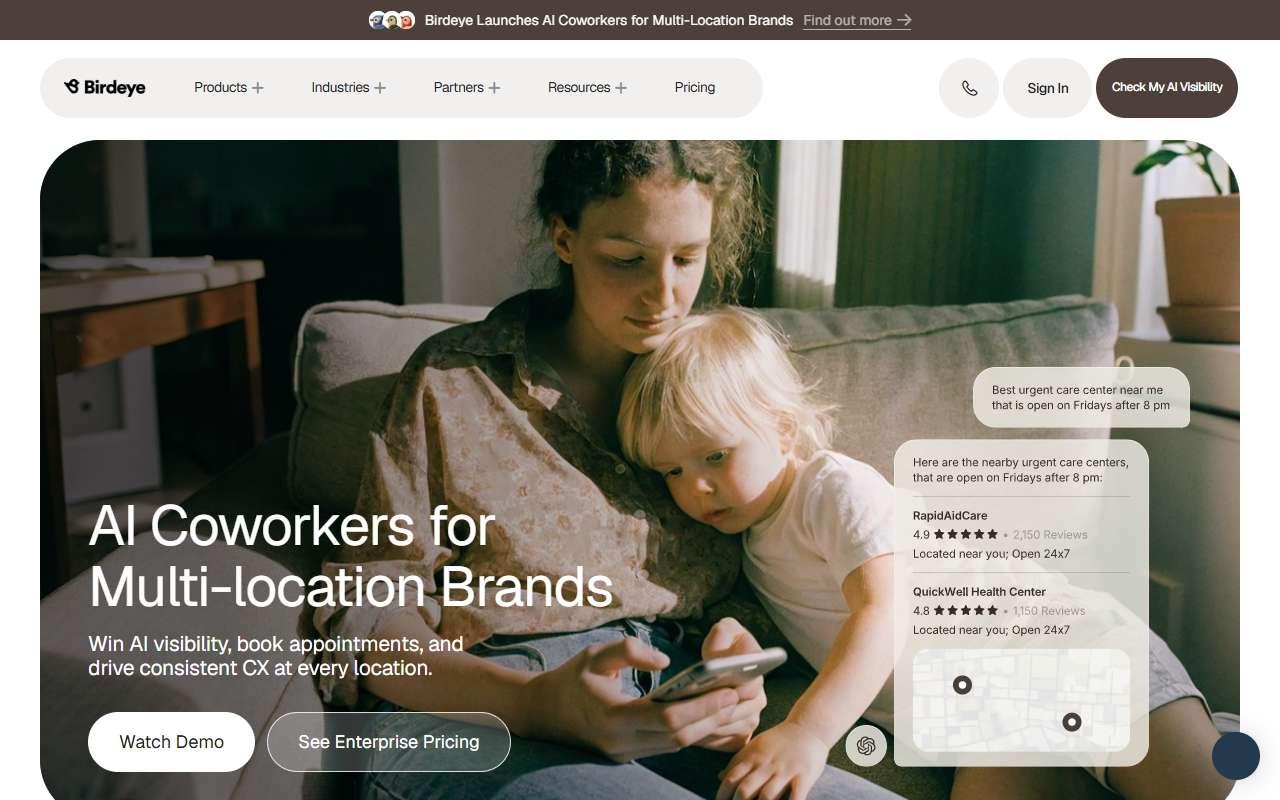 Birdeye website